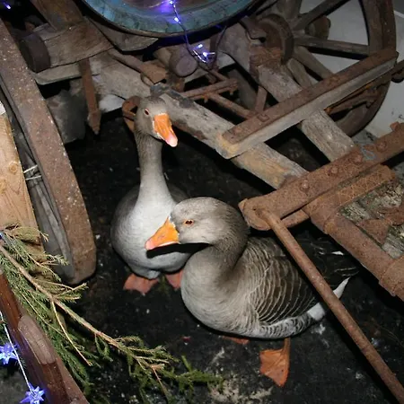 Der Pölkenhof *